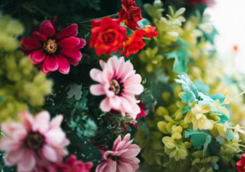 DIY Rode Hybride Theeroos Boeketten: Verfraai je huis met elegante bloemstukken